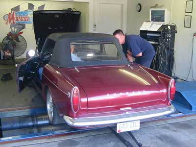 65 Tiger