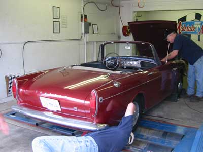 65 Tiger